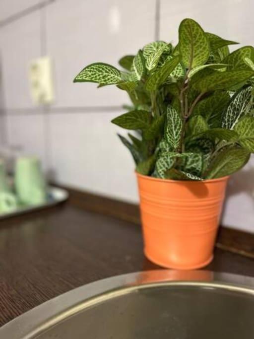 A13 Parliament Sunflower Cozy Apartment Budapest Esterno foto