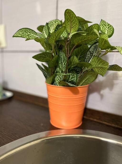 A13 Parliament Sunflower Cozy Apartment Budapest Esterno foto
